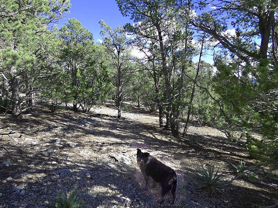 5 Acres of Residential Land for Sale in Glorieta, New Mexico