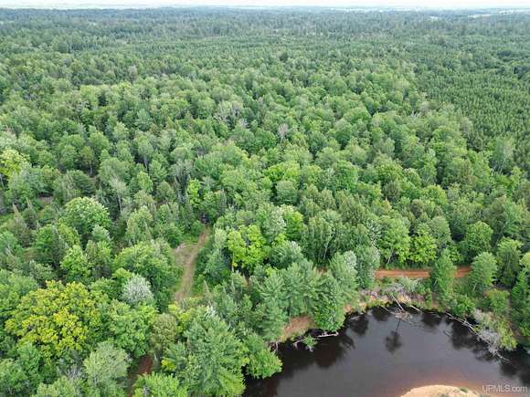 20 Acres of Recreational Land for Sale in Manistique, Michigan