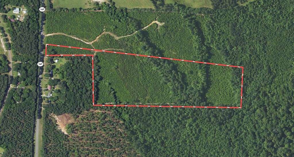 33.001 Acres of Recreational Land for Sale in Jack, Alabama