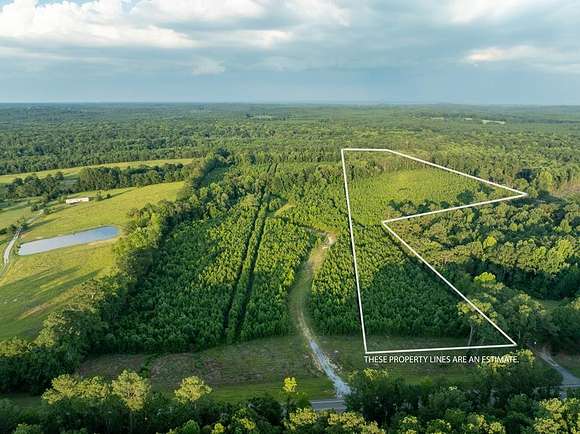 33.001 Acres of Recreational Land for Sale in Jack, Alabama