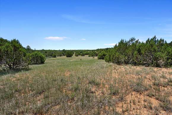 23.01 Acres of Recreational Land for Sale in Tijeras, New Mexico