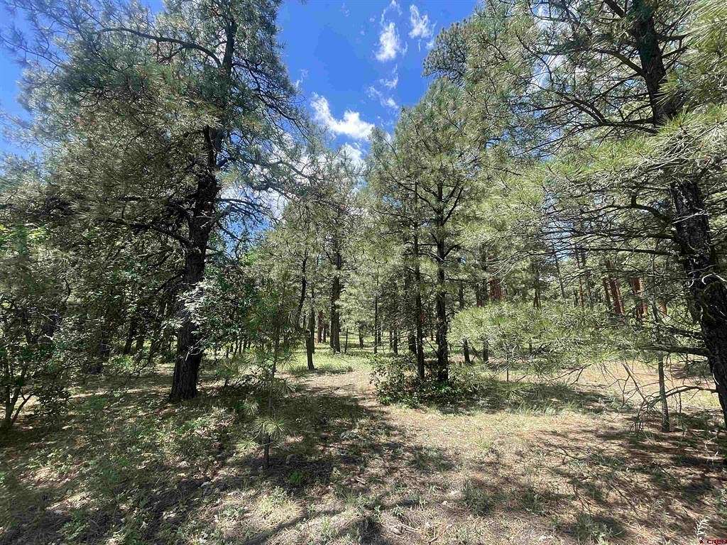 0.29 Acres of Residential Land for Sale in Pagosa Springs, Colorado