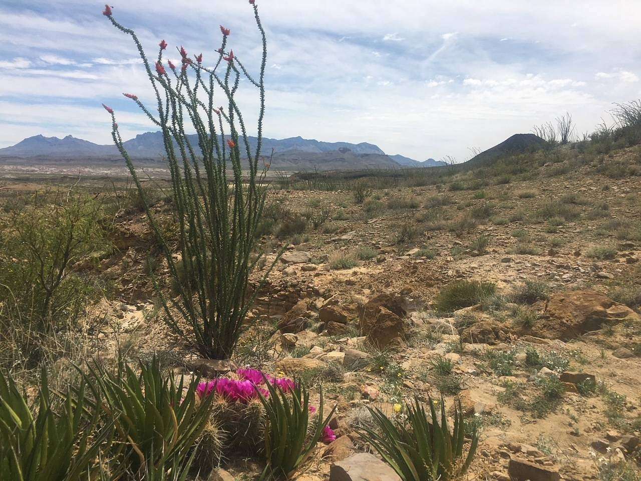 31 Acres of Recreational Land with Home for Sale in Terlingua, Texas