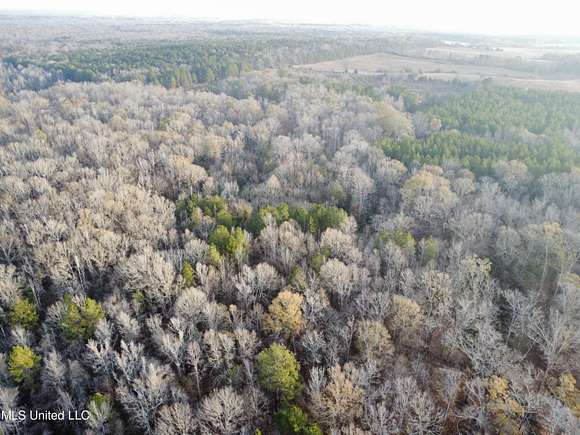 38.09 Acres of Recreational Land for Sale in Florence, Mississippi