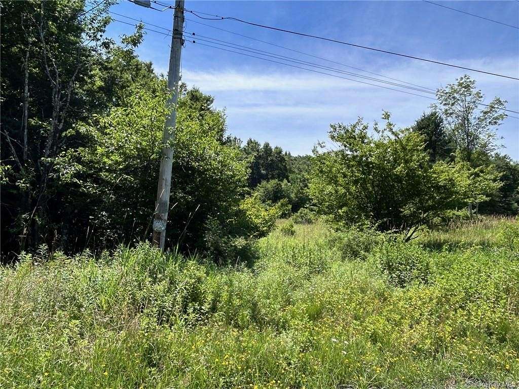 11.73 Acres of Land for Sale in Fremont Town, New York