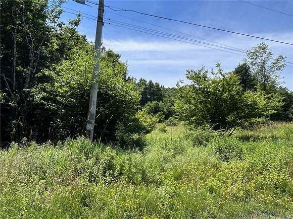 11.73 Acres of Land for Sale in Fremont Center, New York