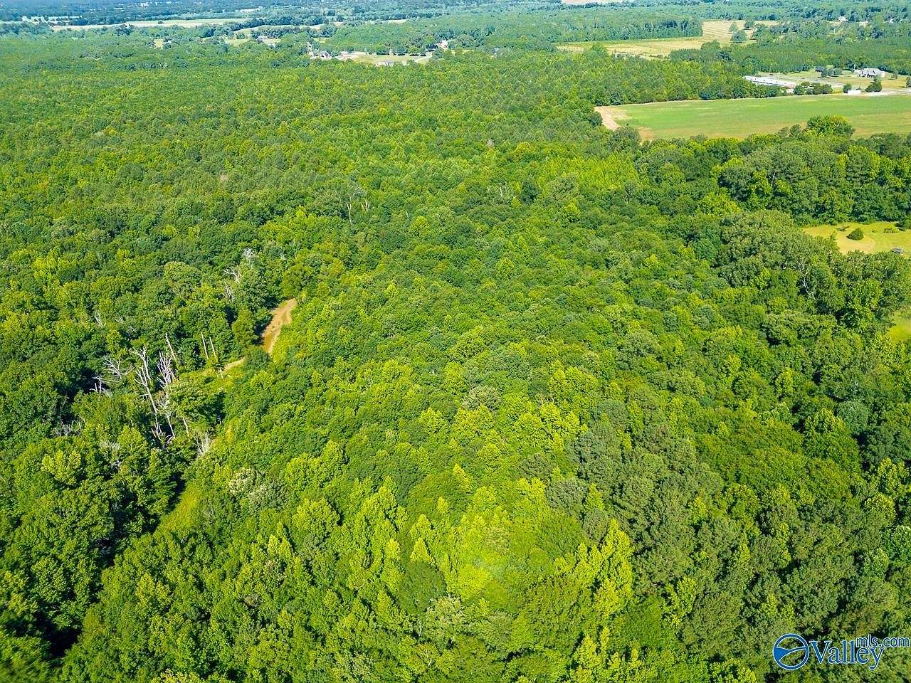 20 Acres of Recreational Land for Sale in Hartselle, Alabama