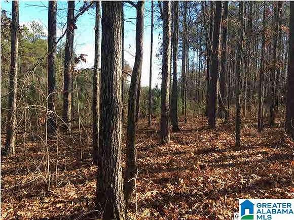 1.37 Acres of Residential Land for Sale in Vincent, Alabama