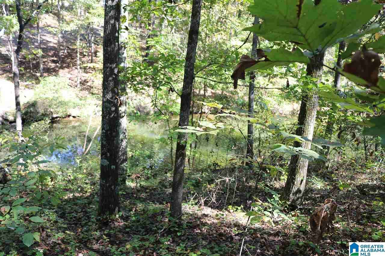 0.46 Acres of Residential Land for Sale in Vincent, Alabama