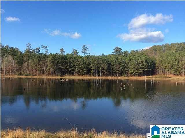 0.41 Acres of Residential Land for Sale in Vincent, Alabama