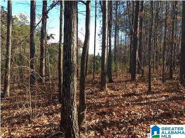 1.1 Acres of Residential Land for Sale in Vincent, Alabama