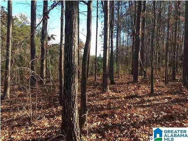1.1 Acres of Residential Land for Sale in Vincent, Alabama