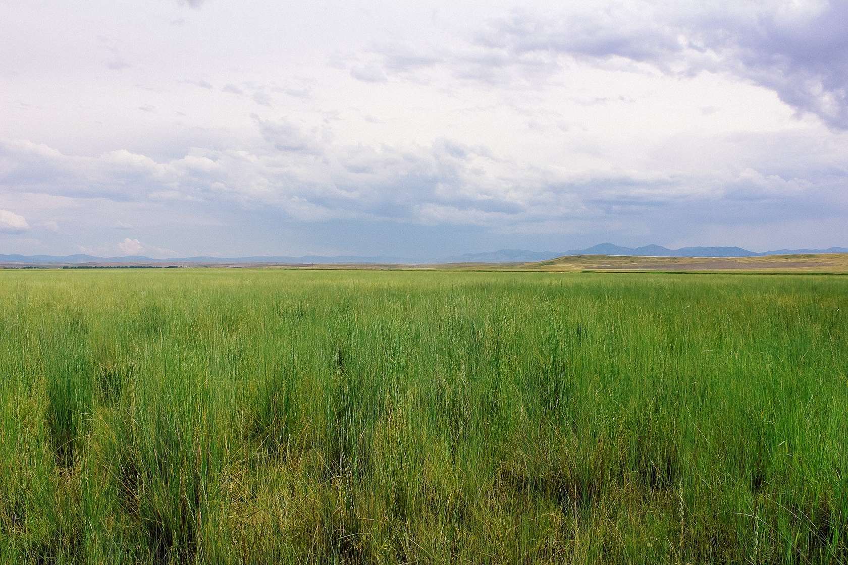 1,067 Acres of Recreational Land & Farm for Sale in Cascade, Montana