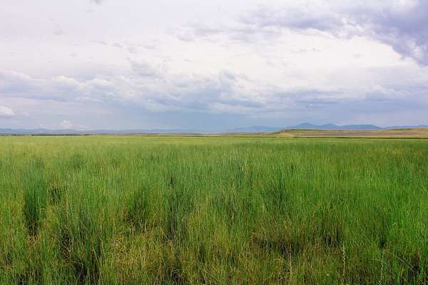 1,067 Acres of Recreational Land & Farm for Sale in Cascade, Montana