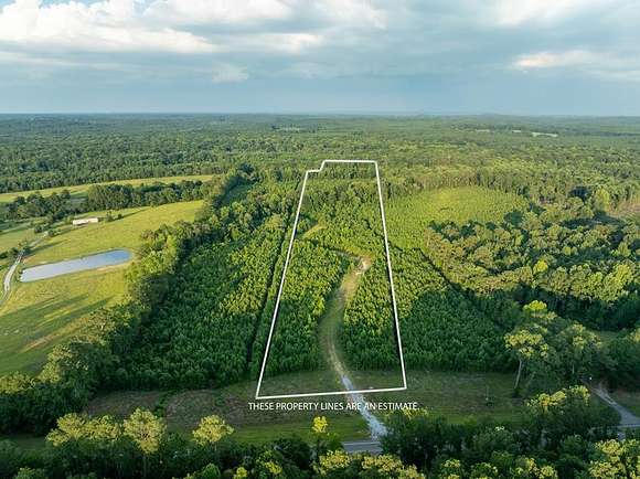 16.881 Acres of Recreational Land for Sale in Jack, Alabama