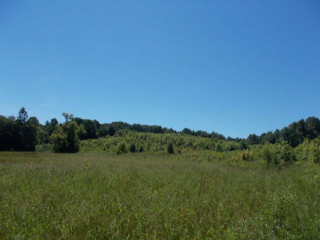 27.5 Acres of Recreational Land for Sale in Springville, Tennessee
