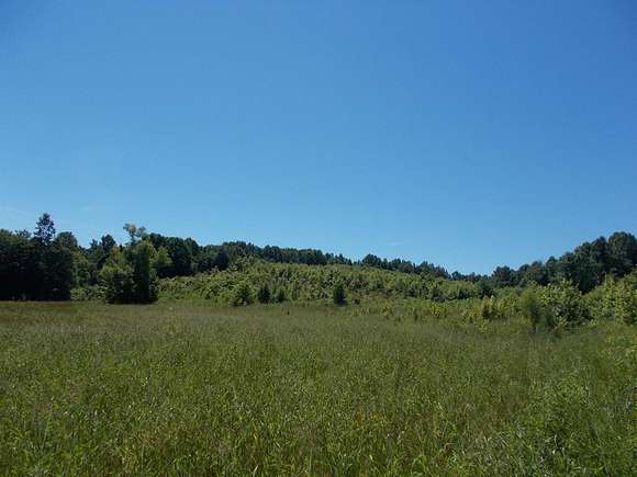 27.5 Acres of Recreational Land for Sale in Springville, Tennessee