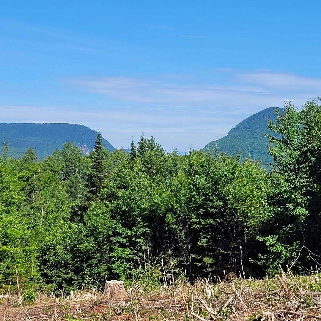 54.6 Acres of Land for Sale in Newark Town, Vermont