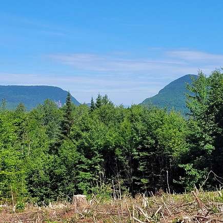 54.6 Acres of Land for Sale in Newark Town, Vermont