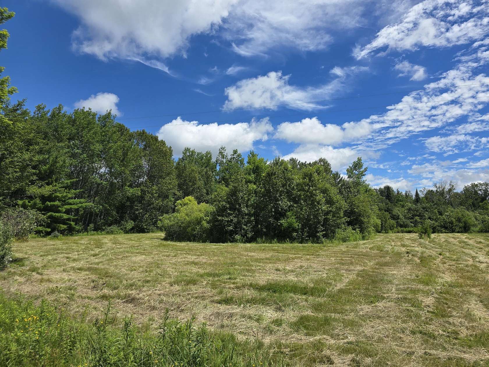 15 Acres of Recreational Land for Sale in Roscommon, Michigan