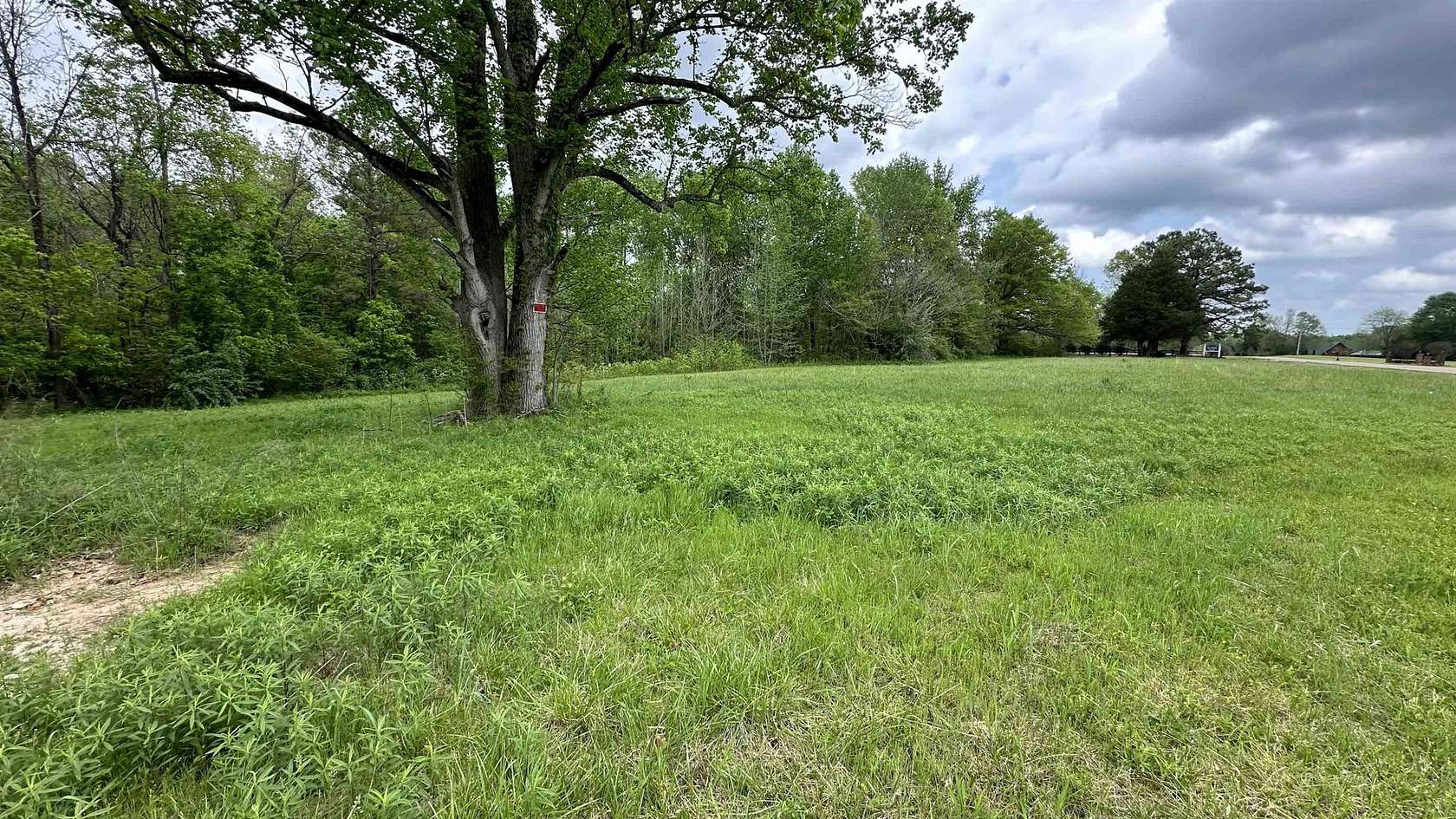 9.8 Acres of Residential Land for Sale in Oakfield, Tennessee