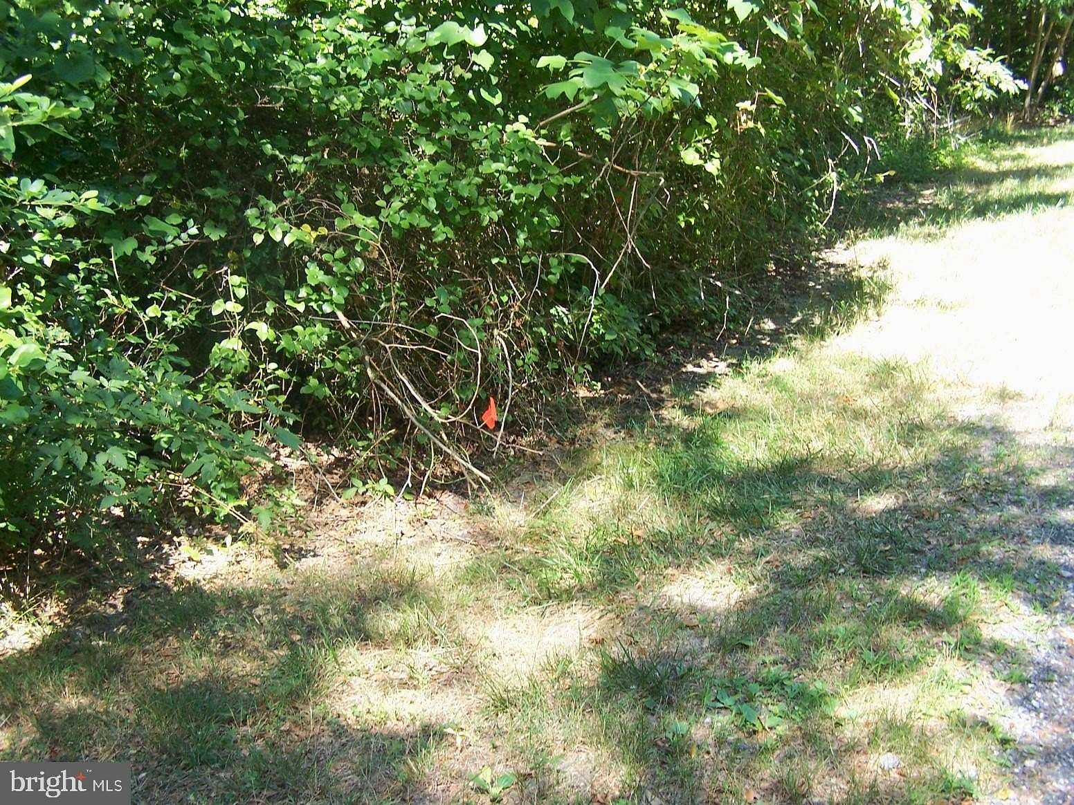 1 Acre of Land for Sale in Seaford, Delaware