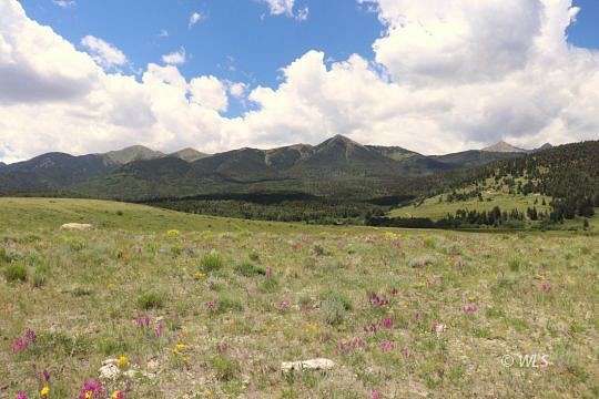 38.18 Acres of Land for Sale in Westcliffe, Colorado