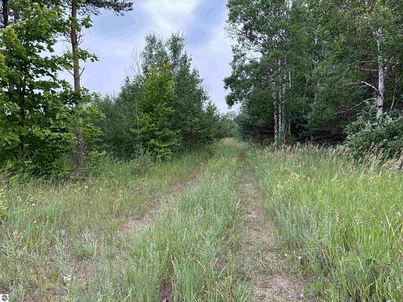8.2 Acres of Land for Sale in Mancelona, Michigan