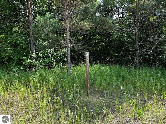 10 Acres of Land for Sale in Mancelona, Michigan