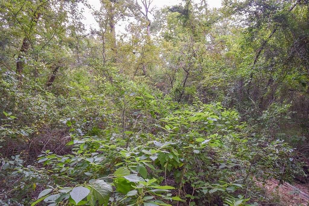 12 Acres of Recreational Land for Sale in Grand Saline, Texas