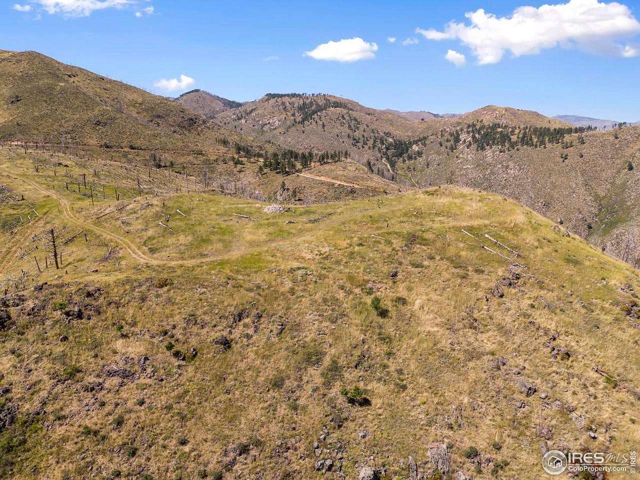 20 Acres of Recreational Land for Sale in Bellvue, Colorado