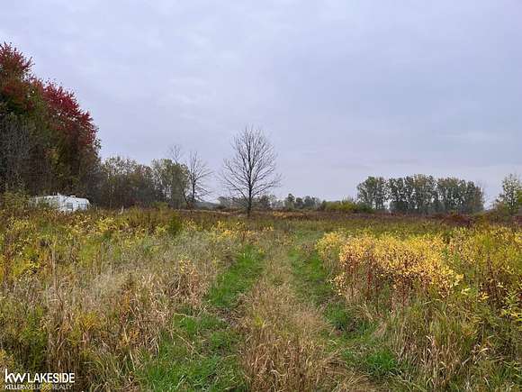 10.01 Acres of Land for Sale in Lynn Township, Michigan