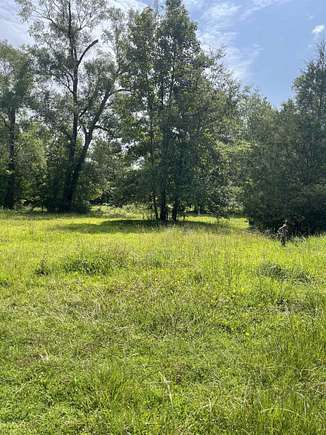 3.98 Acres of Residential Land for Sale in Buna, Texas