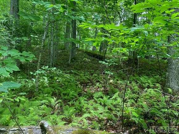 4 Acres of Residential Land for Sale in Tuckasegee, North Carolina