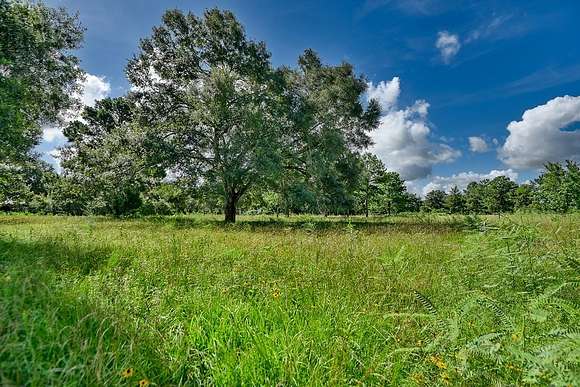 7.514 Acres of Residential Land for Sale in Hockley, Texas