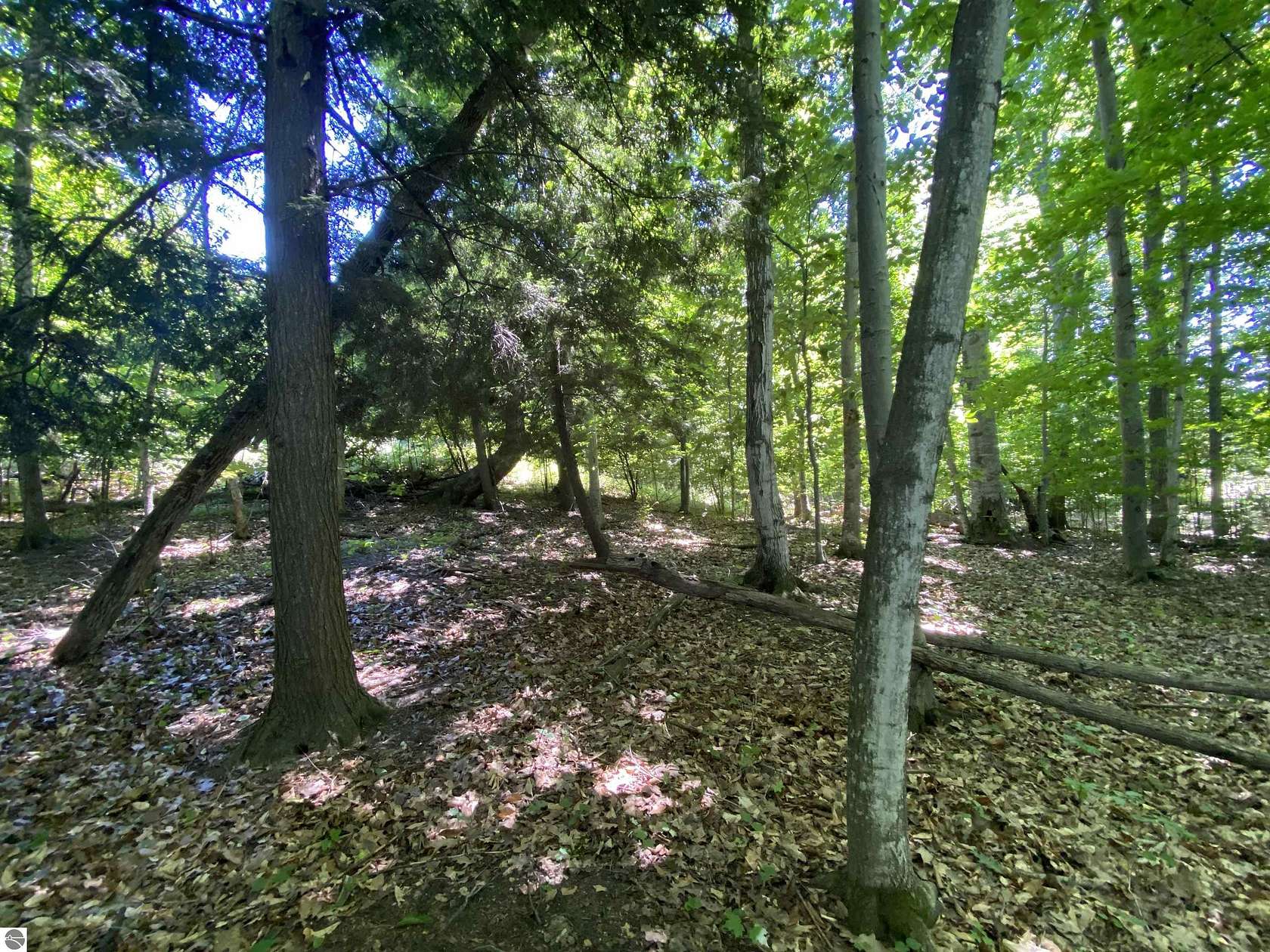 1.13 Acres of Residential Land for Sale in Cedar, Michigan