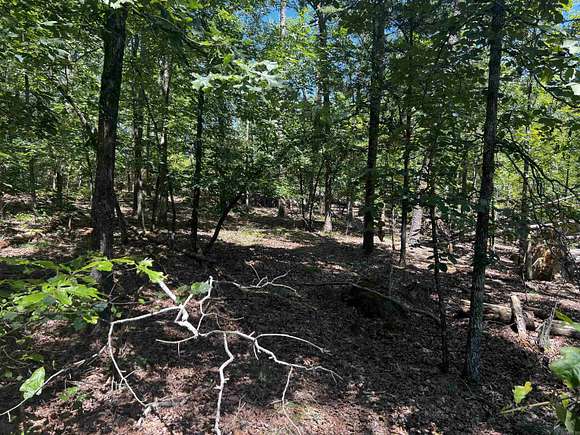 0.3 Acres of Residential Land for Sale in Hot Springs Village, Arkansas