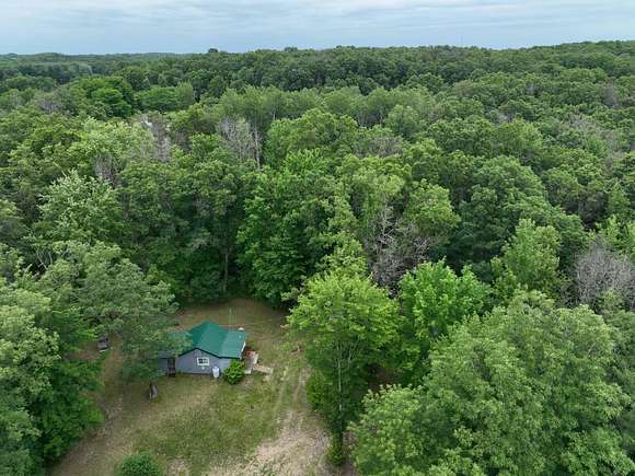 20 Acres of Recreational Land for Sale in White Cloud, Michigan