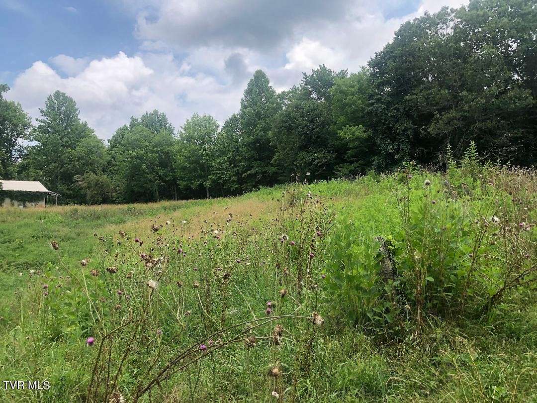 42 Acres of Land for Sale in Speedwell, Tennessee