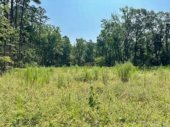 3.19 Acres of Land for Sale in Pine Bluff, Arkansas