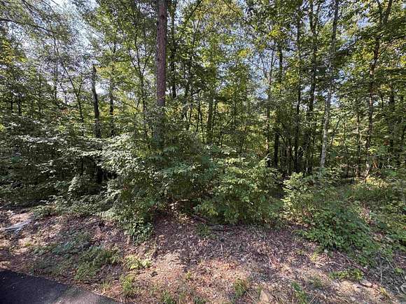 1.47 Acres of Residential Land for Sale in Royal, Arkansas