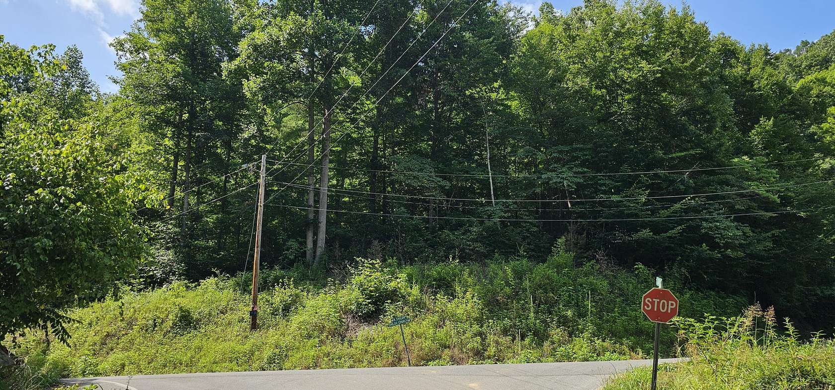 4.38 Acres of Land for Sale in Seymour, Tennessee