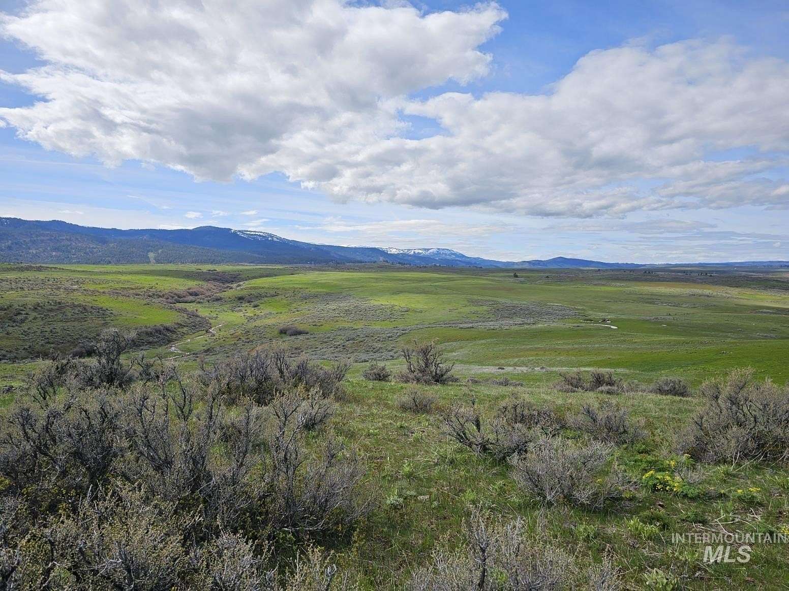 80 Acres of Land for Sale in Council, Idaho