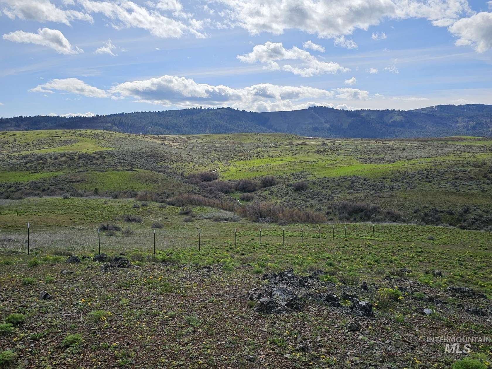80 Acres of Land for Sale in Council, Idaho