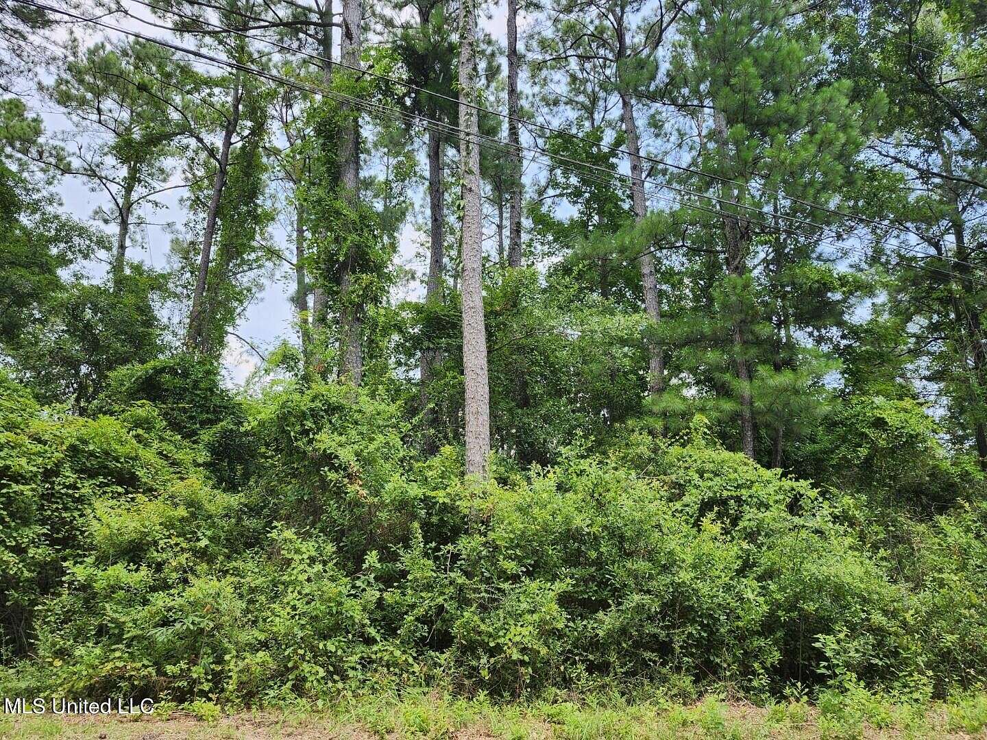 0.47 Acres of Residential Land for Sale in Gautier, Mississippi