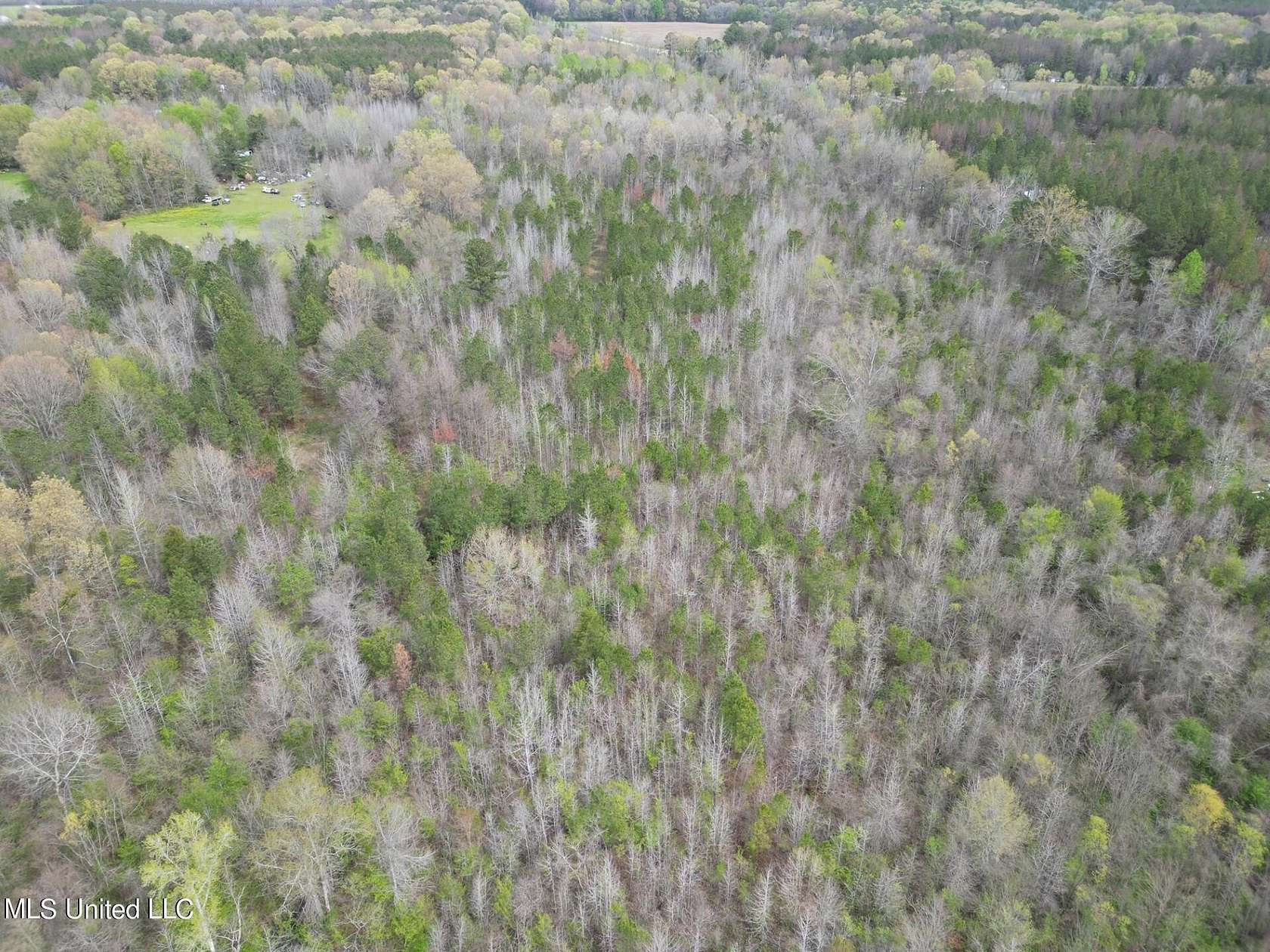 40.34 Acres of Recreational Land for Sale in Brandon, Mississippi