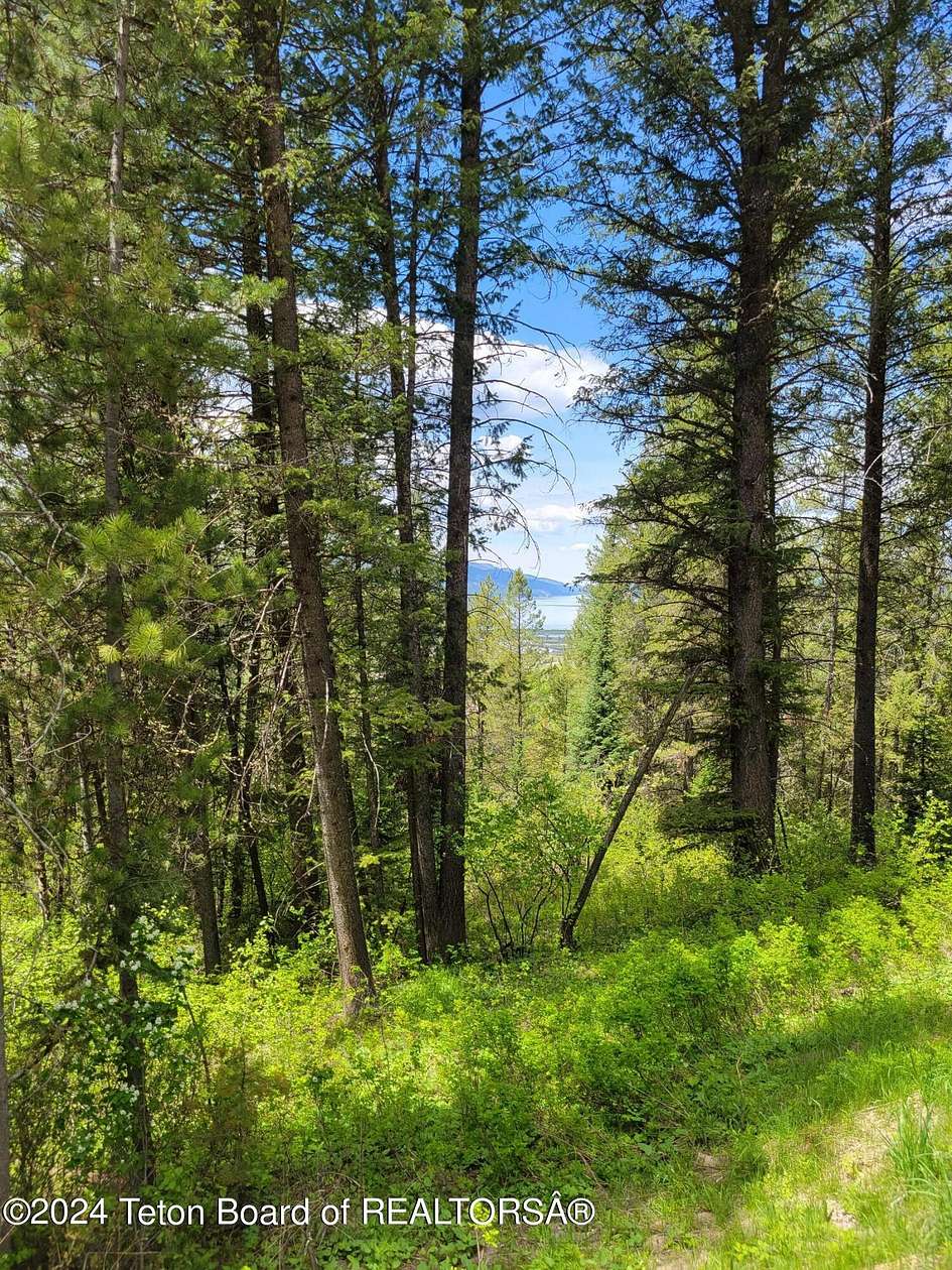 4.28 Acres of Residential Land for Sale in Alpine, Wyoming