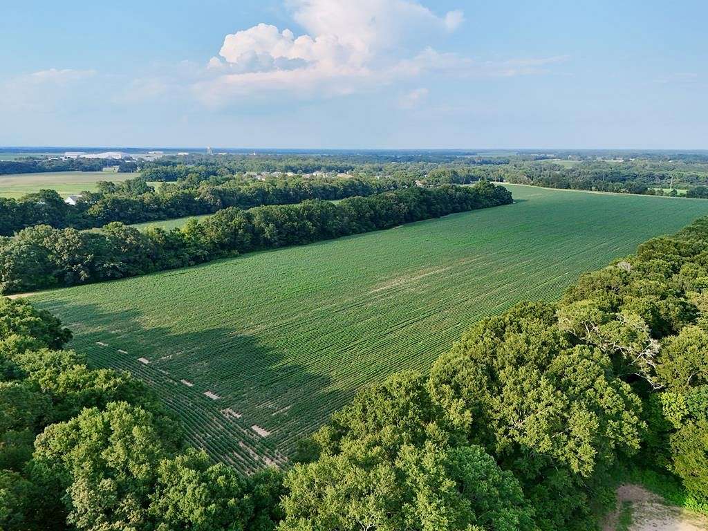 95 Acres of Land for Sale in Dothan, Alabama