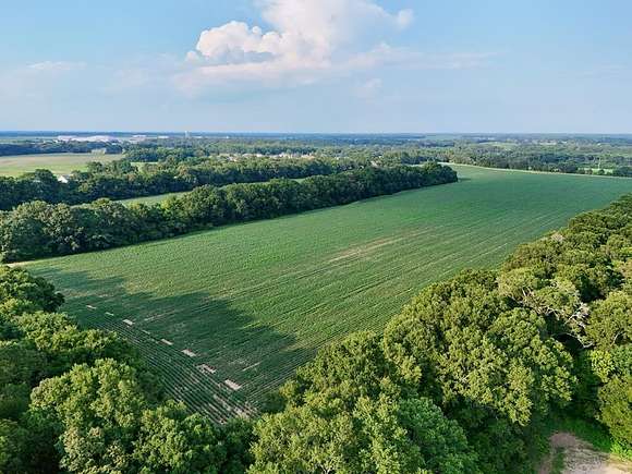 95 Acres of Land for Sale in Dothan, Alabama