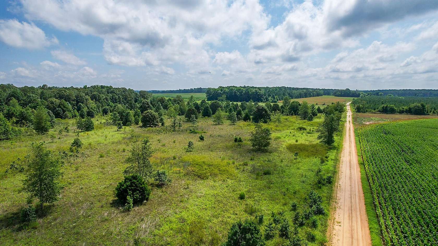 11.7 Acres of Agricultural Land for Sale in Stapleton, Georgia